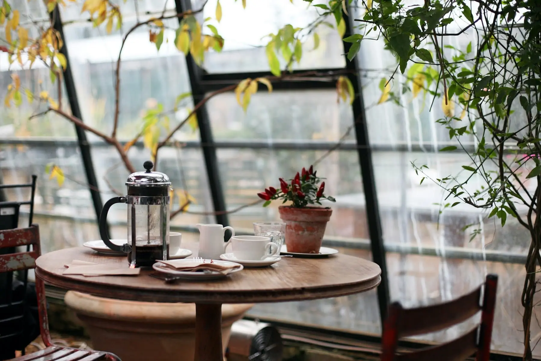 Table ronde près d'une grande fenêtre, avec cafetière à piston et tasses, entourée de plantes