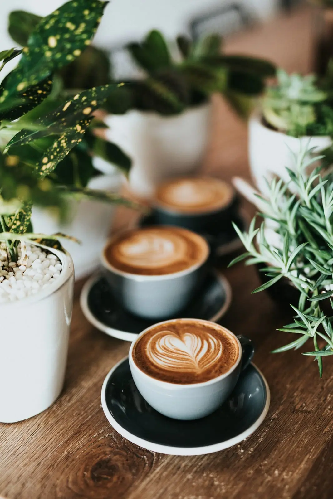 Deux cafés au lait décorés de latte art